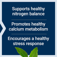 Thumbnail for Life Extension L-Lysine, 620 mg, Essential Amino Acid for Healthy nitrogen Balance, Calcium Metabolism, Stress Response & More, Gluten-Free, Non-GMO, Vegetarian, 100 Capsules