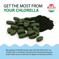Thumbnail for Sun Chlorella 500mg Whole Body Wellness Green Algae Superfood Supplement - Immune Defense, Gut Health, Natural Purification, Energy Boost - Chlorophyll, B12, Iron, Protein - Non-GMO - 600 Tablets