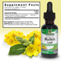 Thumbnail for Nature's Answer Mullein Herb - Mullein Leaf Extract for Lungs - Alcohol Free, Non GMO, Made in USA - Supports Respiratory Function & Promotes Healthy Lungs - Mullein Leaf 1 Ounce Extract