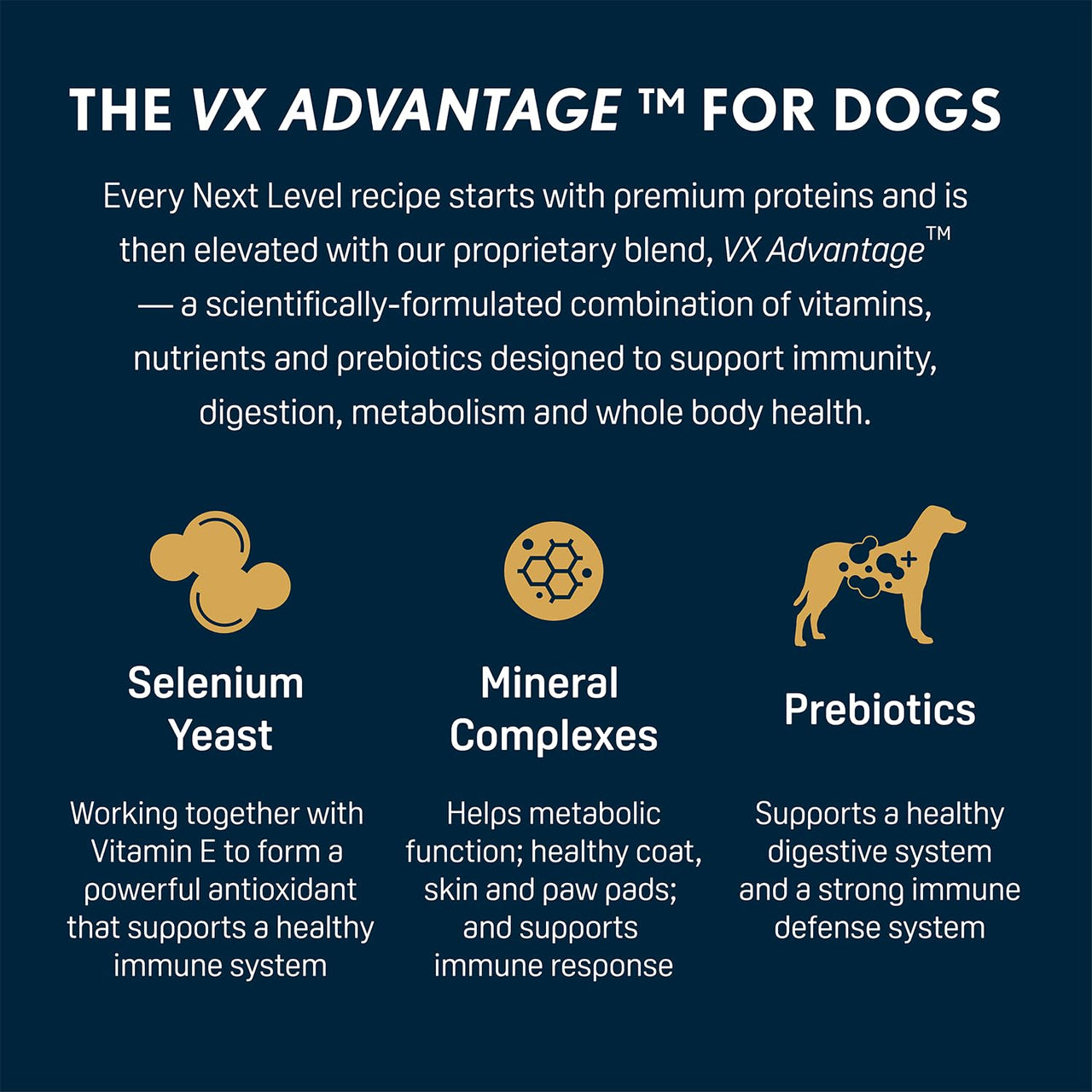 Next Level Salmon River Grain Free Dog Food