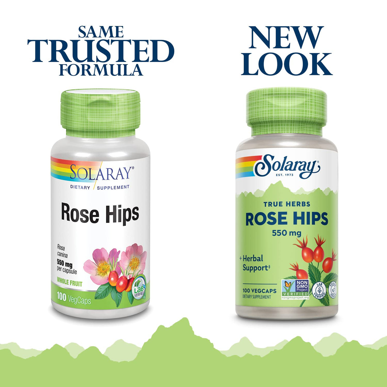 SOLARAY Rose Hips Fruit 550mg | Healthy Skin, Joints & Immune Function Support | Source of Vitamin C & Bioflavonoids | Non-GMO & Vegan | 100 VegCaps