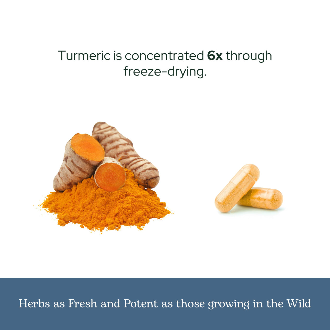 Eclectic Herb - Organic Turmeric & Pepper Capsules | Musculoskeletal System & Joint Health Support | Herbal Supplement | Vegan, Non-GMO, Gluten Free, Freeze-Dried (90 CT | 430 mg)
