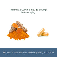 Thumbnail for Eclectic Herb - Organic Turmeric & Pepper Capsules | Musculoskeletal System & Joint Health Support | Herbal Supplement | Vegan, Non-GMO, Gluten Free, Freeze-Dried (90 CT | 430 mg)