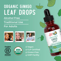 Thumbnail for MaryRuth Organics Ginkgo Leaf Liquid Drops | Herbal Supplement | Nootropic | Circulatory System & Nervous System Health | USDA Organic | Non-GMO | Vegan | 60 Servings
