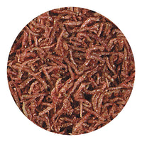 Thumbnail for Hikari Bio-Pure Freeze Dried Blood Worms for Pets, 0.42-Ounce