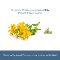 Thumbnail for Eclectic Herb - St. John's Wort Capsules | Nervous System & Immune Support | Promotes a Positive Mood | Vegan, Non-GMO, Gluten Free, Freeze-Dried (120 CT | 300 mg)