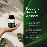 Thumbnail for NatureBell Berberine 500mg - 300 Capsules - 97% Pure Berberine HCl - 5:1 Root Extract of Berberis Aristata - Antioxidant, Alkaloid & Adaptogenic Support*