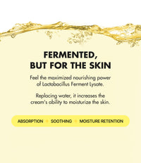 Thumbnail for BY WISHTREND Propolis Energy Balancing Cream | 10% Propolis, Face Care for Oily Skin, Improves Skin Barrier, Rich in Antioxidant, Lightweight Texture, Probiotics Moisturizer 1.69 Fl Oz