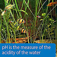 Thumbnail for API TEST STRIPS,For Variety of Water Parameters,Monitor aquarium water quality and help prevent invisible water problems that can be harmful to fish,Use weekly and when problems appear,25-Count (33F)