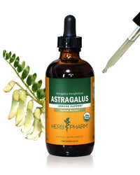 Thumbnail for Herb Pharm Certified Organic Astragalus Liquid Extract for Immune System Support - 4 Ounce