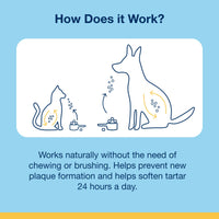Thumbnail for ProDen PlaqueOff Scoopables - Hickory Smoked Bacon Flavor Dental Bites for Small Dogs, Natural Kelp for Plaque & Tartar Control, Freshens Breath - Small & Medium Breed Dental Care- 45 Scoops