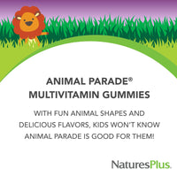 Thumbnail for NaturesPlus Animal Parade Multivitamin Children's Gummies - 90 Count - Assorted Cherry, Grape & Orange Flavors - Supports Immune System - Vegetarian, Gluten Free - 30 Servings