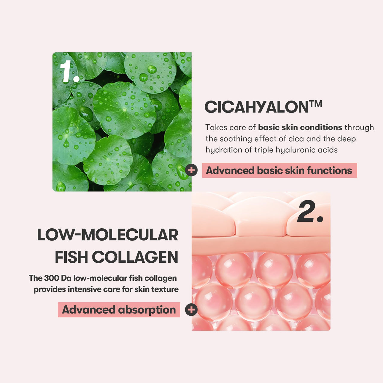 VT COSMETICS Cica Collagen Essence, 300Da Collagen Extract & Peptide Complex for Firming, Plumping, and Improving Skin Elasticity. Korean Skincare, Pink Collagen Serum