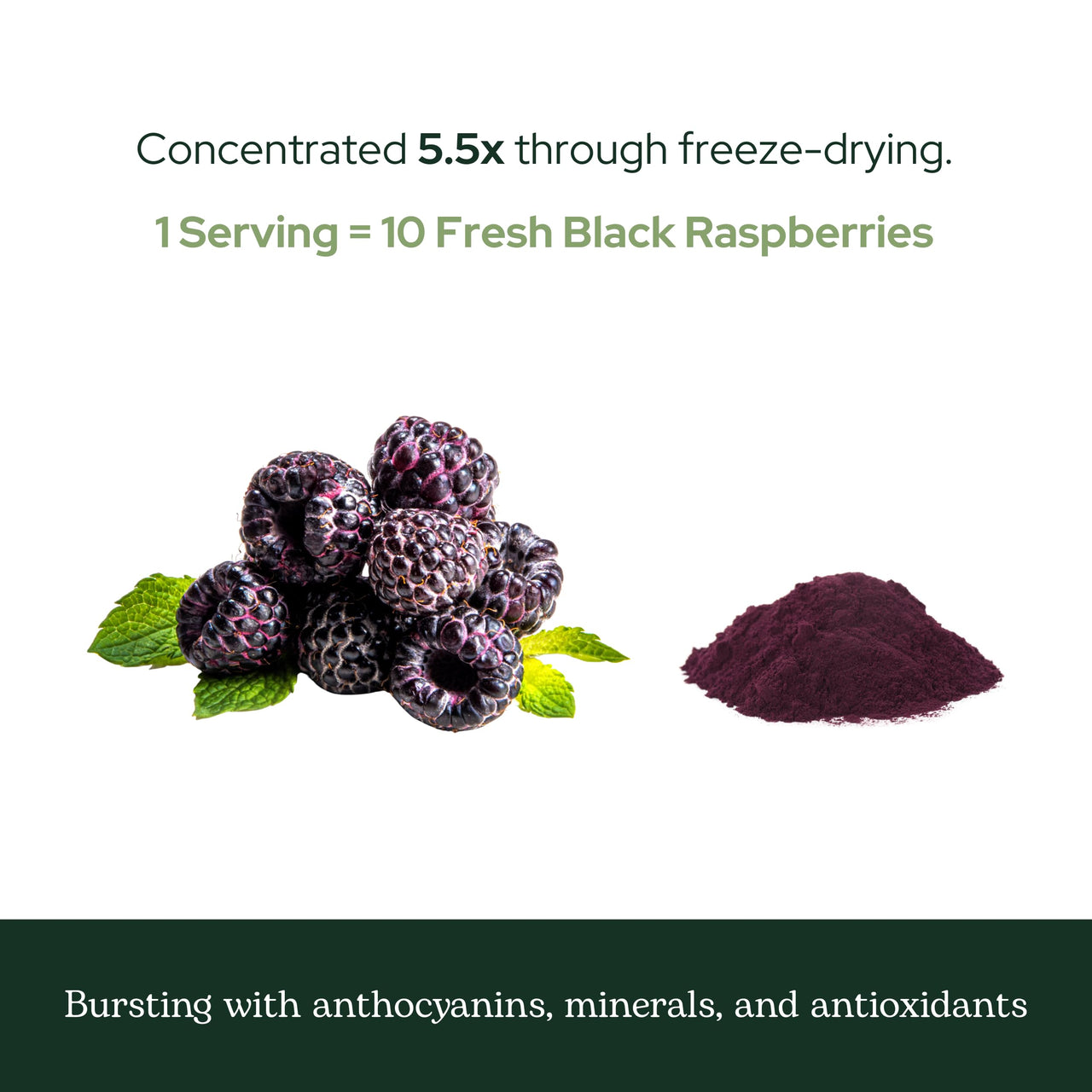 Eclectic Herb - Black Raspberry Powder Superfood Supplement | Nutritional Support, Vitamins + Minerals | Antioxidant + Immune Support | Natural, Non-GMO, Vegan, Gluten Free (3.2 oz | 90 g)