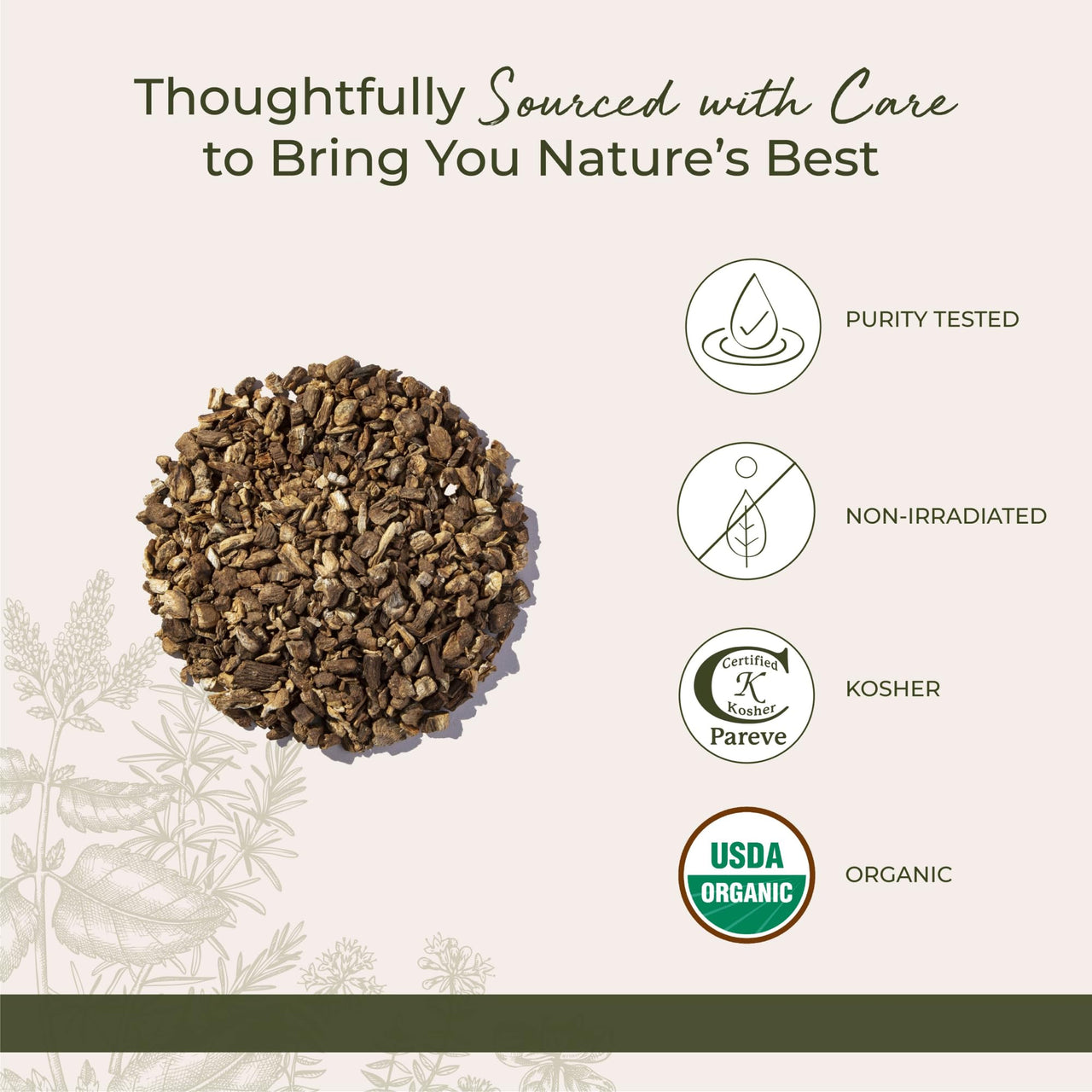 Organic Burdock Root C/S 1lb