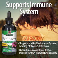 Thumbnail for Nature's Answer Echinacea | 4 oz. Supports a Healthy Immune System | Non-GMO | Alcohol-Free, Gluten-Free, Vegan, Kosher Certified & No Preservatives 4 fl oz