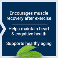 Thumbnail for Life Extension Taurine Powder – Healthy Cardiovascular Support, Promotes Brain Health, Healthy Aging, and Muscle and Exercise Recovery – Gluten-Free, Non-GMO, Vegetarian – 300 Grams
