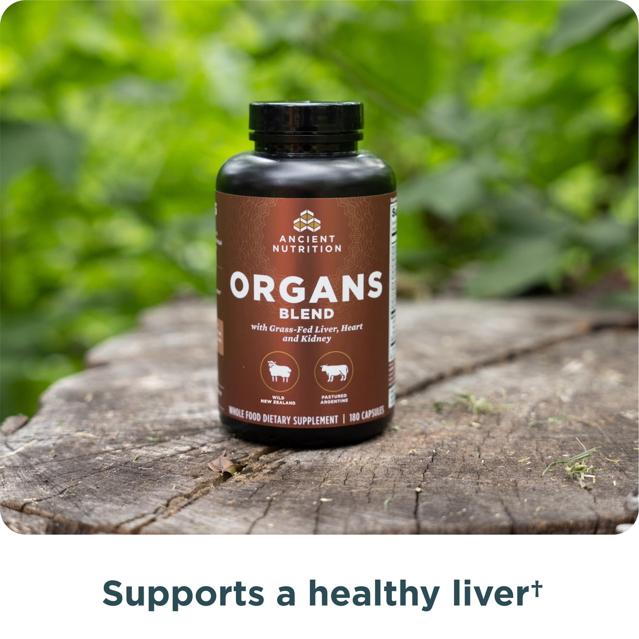Ancient Nutrition Organ Supplements, Grass-Fed and Wild Organ Complex Capsules, Liver, Heart, Kidney Supports Organ, Cognitive, and Immune System Health, 180 Ct