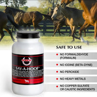 Thumbnail for SBS Equine Treatment Against Hoof Illness in Horses | Built-in Dauber Applicator | Treat Entire Hoof (7.5 Fluid Oz)
