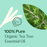 Thumbnail for Plant Therapy Organic Tea Tree Oil (Melaleuca) 100% Pure, USDA Certified Organic, Undiluted, Natural Aromatherapy, Therapeutic Grade 30 mL (1 oz)
