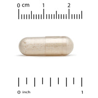 Thumbnail for California Gold Nutrition Ergothioneine Mushroom Complex with Organic Maitake, Organic Oyster, Organic Lion's Mane Mushroom Extracts and L-Ergothioneine, 90 Veggie Capsules