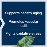 Thumbnail for Life Extension Pycnogenol – French Maritime Pine Bark Extract – Scientifically Studied Healthy Aging & Vascular Health Supplement – Non-GMO, Gluten-Free, Vegetarian – 60 Capsules