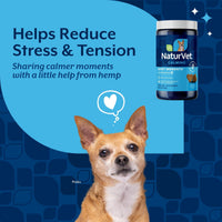 Thumbnail for NaturVet Quiet Moments Calming Aid Dog Supplement, Helps Promote Relaxation, Reduce Stress, Storm Anxiety, Motion Sickness for Dogs (Quiet Moments Plus Hemp, 180 Soft Chews)