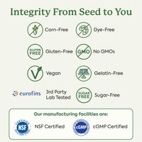 Thumbnail for Plant People WonderSleep Mushroom Gummies Supplement for Sleep and Relaxation with Reishi Super Mushrooms, Wild Elderberry Flavor, No Sugar (60 Count)