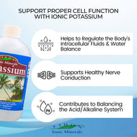 Thumbnail for Eidon Liquid Potassium Supplement - Potassium Chloride Drops for Women & Men, Essential Electrolyte for Cell Function, Bioavailable Ionic Minerals, All Natural, No-Preservatives, Gluten Free - 18 oz