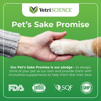 Thumbnail for VetriScience Senior 27+ Active Health Chews, Nu Cat Daily Multivitamin for Senior Cats, Balanced Vitamins, Minerals and Antioxidants, Healthy Aging and Wellness Support, Fish, 30 Count