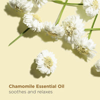 Thumbnail for CLARINS Relax Body Treatment Oil | Relaxes, Moisturizes and Soothes Aching Muscles | Relieves Stress and Fatigue | Nourished & Comfortable Skin After The First Use* | Natural 100% Plant Extracts
