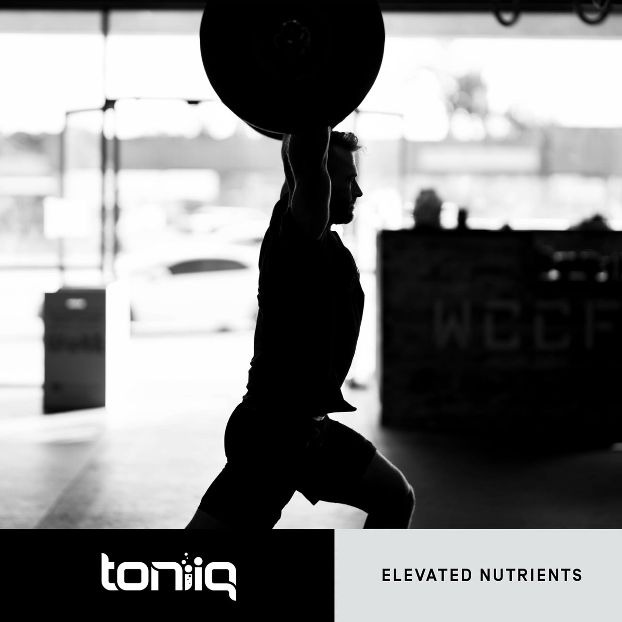 Toniiq Cistanche Tubulosa Extract - Ultra High Potency 10:1 Extract with 50% Echinacoside & 10% Verbascoside - Highly Concentrated - Third-Party Lab Tested - 60 Capsules