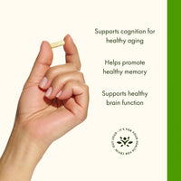 Thumbnail for Swanson Luteolin Complex w/Rutin - Brain Support Supplement Promoting Memory, Mood & Cognitive Health - Natural Formula to Help Maintain Nervous System - (30 Veggie Capsules)