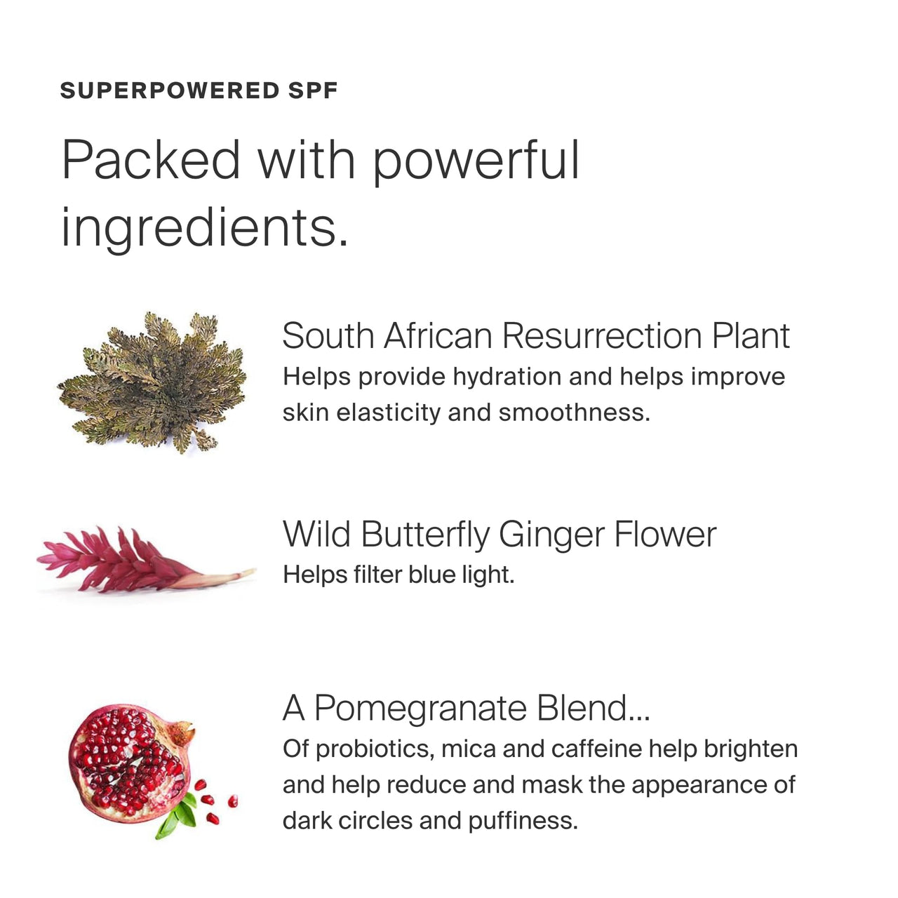 Supergoop! Bright-Eyed Mineral Eye Cream - 0.5 fl oz, Pack of 2 - SPF 40 PA+++ Hydrating & Illuminating Mineral Sunscreen - Under Eye Cream for Dark Circles & Puffiness - Revives Tired Eyes