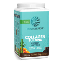 Thumbnail for Vegan Collagen Protein Powder for Women Silica Plant Based Collagen Powder Chocolate Flavor Vegan Hair Skin and Nails Vitamins Non-GMO No Added Sugar Soy Dairy & Gluten Free (Chocolate, 40 Servings)