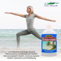 Thumbnail for Eidon Liquid Potassium Supplement - Potassium Chloride Drops for Women & Men, Essential Electrolyte for Cell Function, Bioavailable Ionic Minerals, All Natural, No-Preservatives, Gluten Free - 18 oz