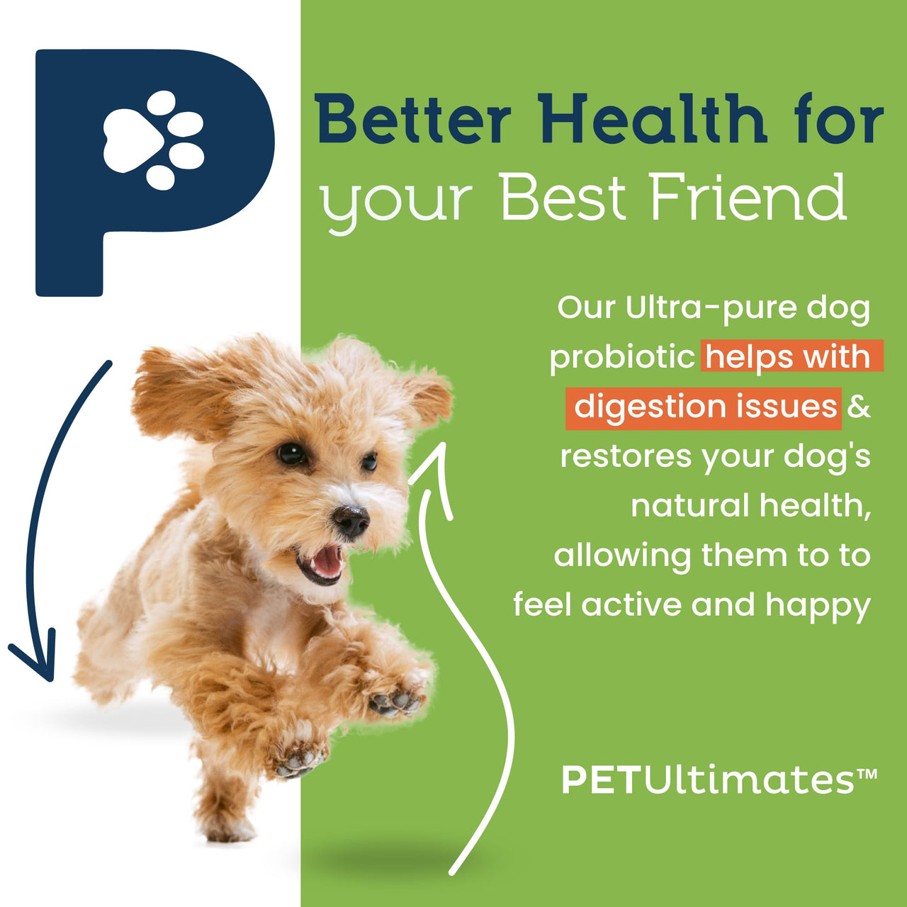 Pet Ultimates Probiotics for Dogs – 22-Species Dog Probiotics for Digestive Support & Antibiotics Recovery – Skin and Coat Supplement, Enhances Vitality – Dog Health Supplies (1 Pack)