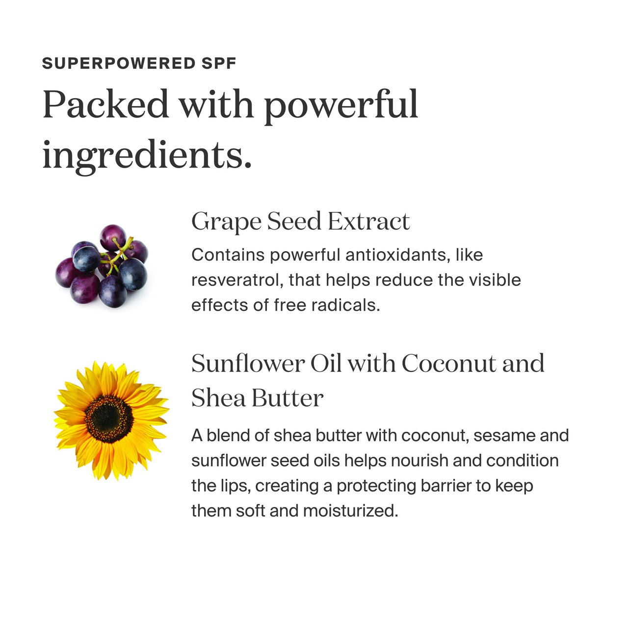 Supergoop! Lipscreen Shine SPF 40, 0.34 fl oz - Water-Resistant Clear Lip Gloss - Broad Spectrum SPF Lip Balm with Grape Seed Extract, Sunflower Seed Oil & Kelp Extract - Non-Sticky Formula