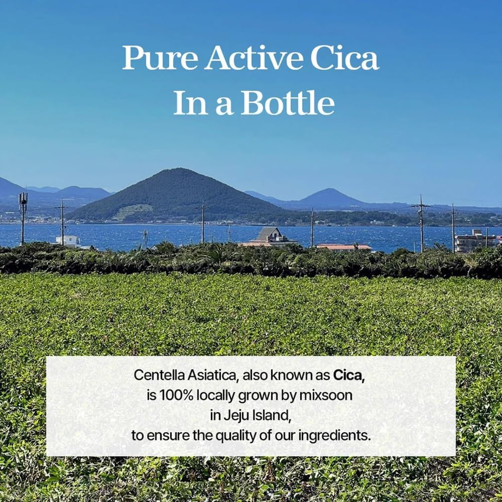 mixsoon Soondy Centella Asiatica Essence-Soothing, Calming and Hydrating for Face, Jeju Island Cica Extracts, Gentle Formula for Balanced, Healthy Skin 50ml / 1.69 fl.oz. Korean Glass Skin Care