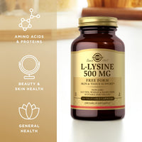 Thumbnail for Solgar - L-Lysine 500 mg Vegetable Capsules Count