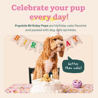Thumbnail for WOOF Pupsicle Birthday Pops - Healthy Dog Treats - Pre-Made Pupsicle Refills- Wholesome Ingredients - Naturally Sweet - Cake-Flavored Birthday Treat for Dogs - Large