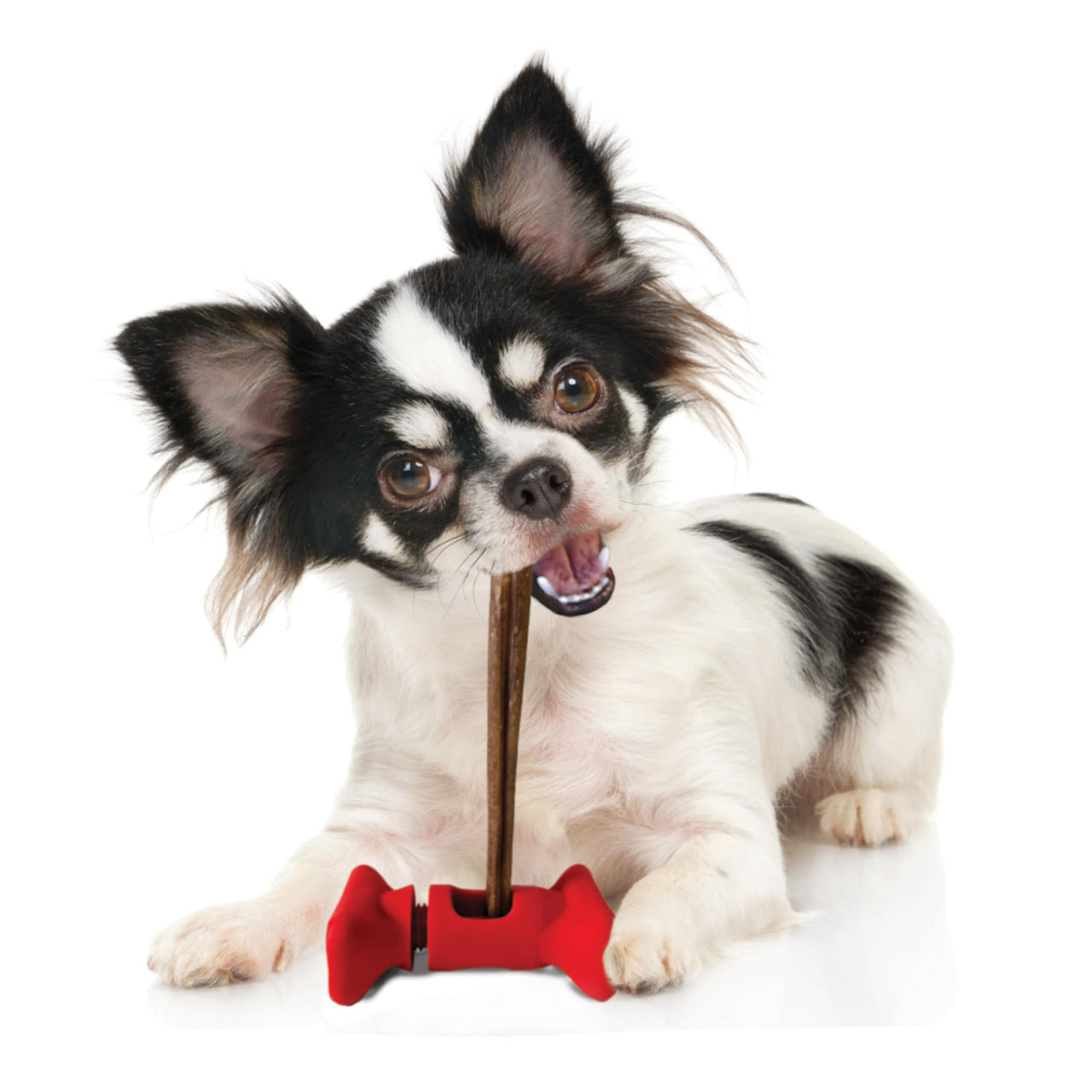 SPOT Treat Holder- Safety Device Bully Stick Holder & Yak Cheese Holder for Small and Medium Dogs, to Help Prevent Choking, 4.5in