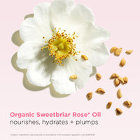 Thumbnail for Clarins NEW Lip Oil Balm | Nourishes, Hydrates, and Visibly Plumps | Natural, Sheer Finish and Shine | 99% Skincare Formula and 96% Natural Ingredients | Contains Hydrating Peptide | 0.1 Ounce