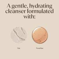 Thumbnail for Aveeno Calm + Restore Nourishing Oat Cleanser, Daily Hydrating Facial Cleanser & Face Wash for Sensitive Skin, Non-Foaming, Hypoallergenic, Non-Comedogenic, Fragrance-Free, with Feverfew, 7.8 fl oz
