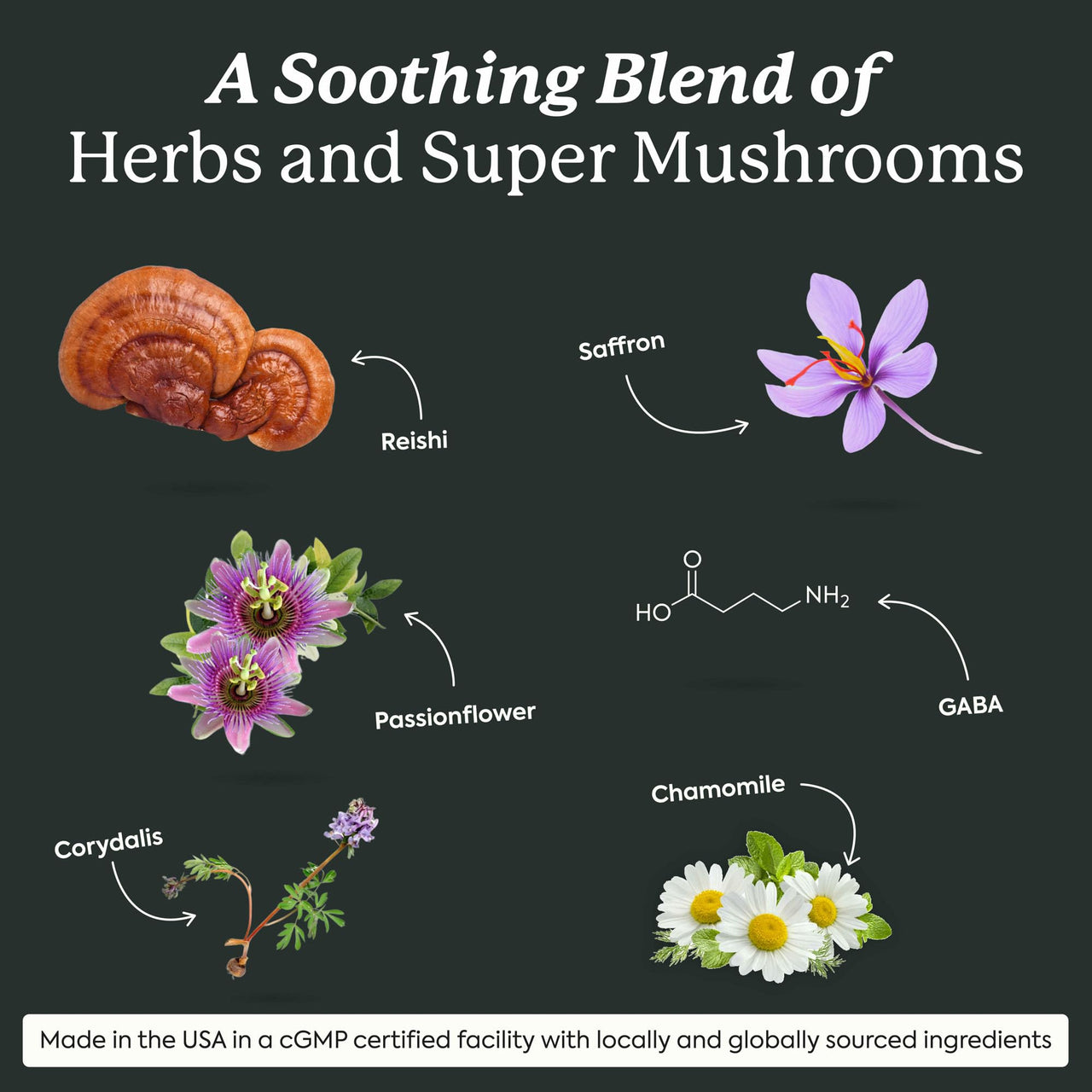 Plant People WonderSleep Mushroom Gummies Supplement for Sleep, No Melatonin with Reishi Super Mushrooms, Wild Elderberry Flavor, Sugar Free (60 Count)