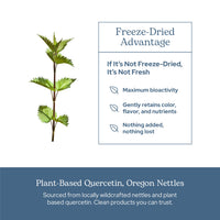 Thumbnail for Eclectic Institute Raw Fresh Freeze-Dried Non-GMO Nettles - Quercetin | 50 CT (350 mg)