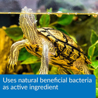 Thumbnail for API TURTLE SLUDGE DESTROYER Aquarium Cleaner and Sludge Remover Treatment 4-Ounce Bottle