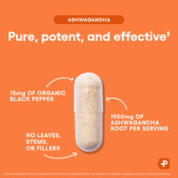 Thumbnail for Physician's CHOICE Ashwagandha Supplement - 1950mg of Bioavailable Organic Ashwagandha Root Powder - Black Pepper Extract, Stress Support, Mood Support Supplement, 90 Veggie Capsules