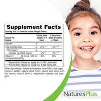 Thumbnail for NaturesPlus Animal Parade Vitamin D3 Children’s Chewables - Black Cherry Flavor - 90 Animal-Shaped Tablets, Pack of 2 - Gluten Free, Vegetarian, Hypoallergenic - 180 Total Servings
