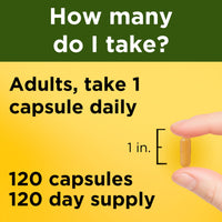 Thumbnail for Nature Made Turmeric Curcumin 500 mg, Turmeric Curcumin Supplement for Antioxidant Support, Herbal Supplements, 120 Capsules, 120 Day Supply